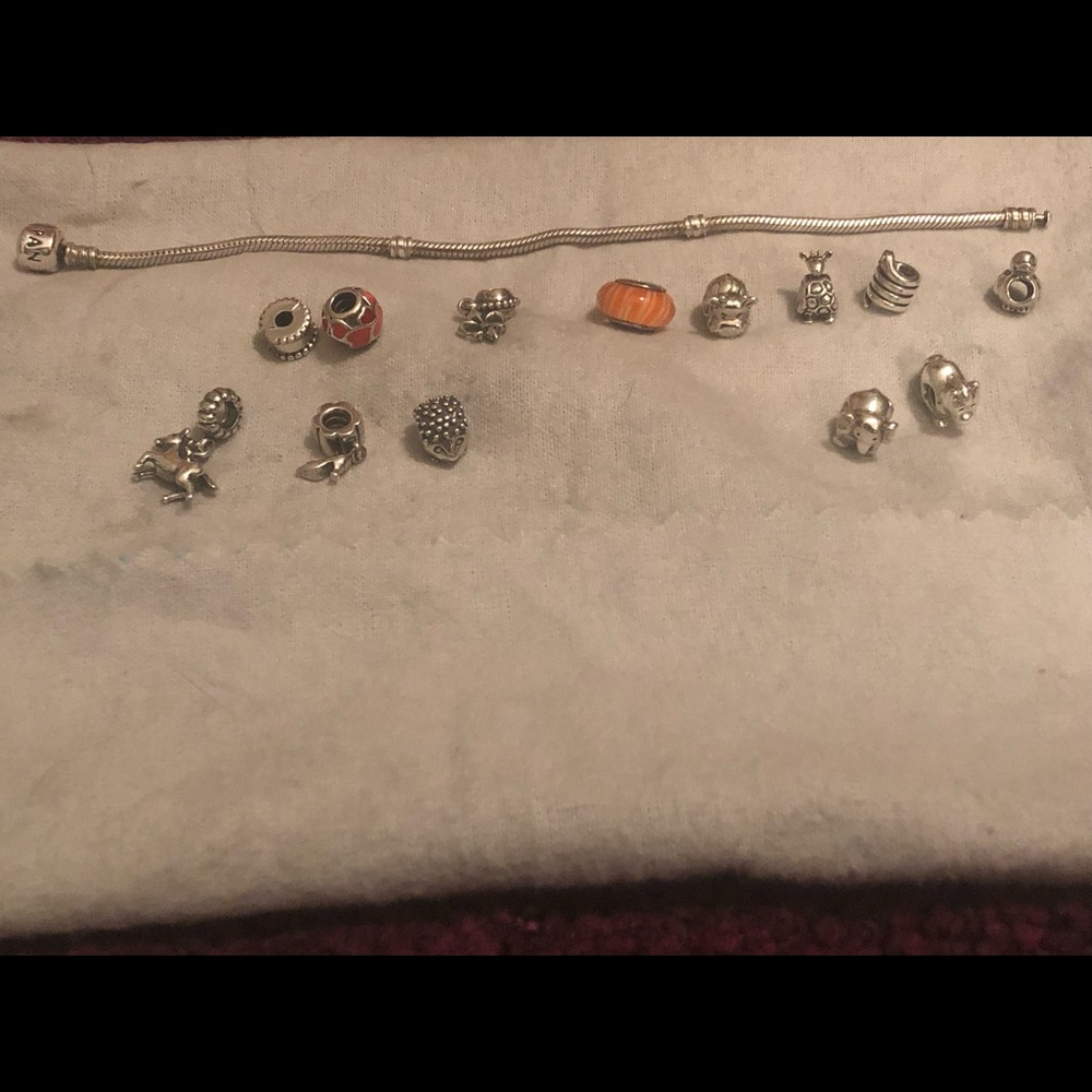 Pandora Bracelet with Charms